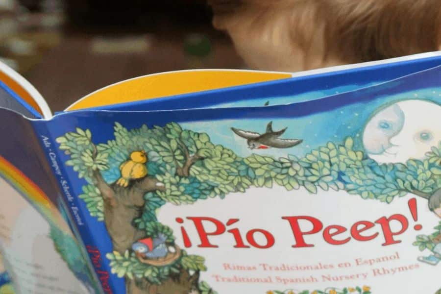 Los 5 mejores libros infantiles para aprender a leer de 2024